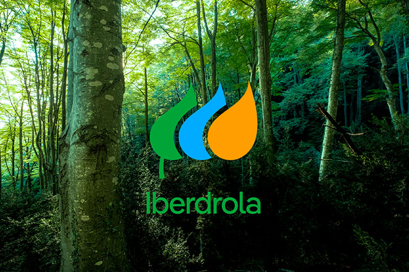 Iberdrola confía a Zenith la gestión de sus medios