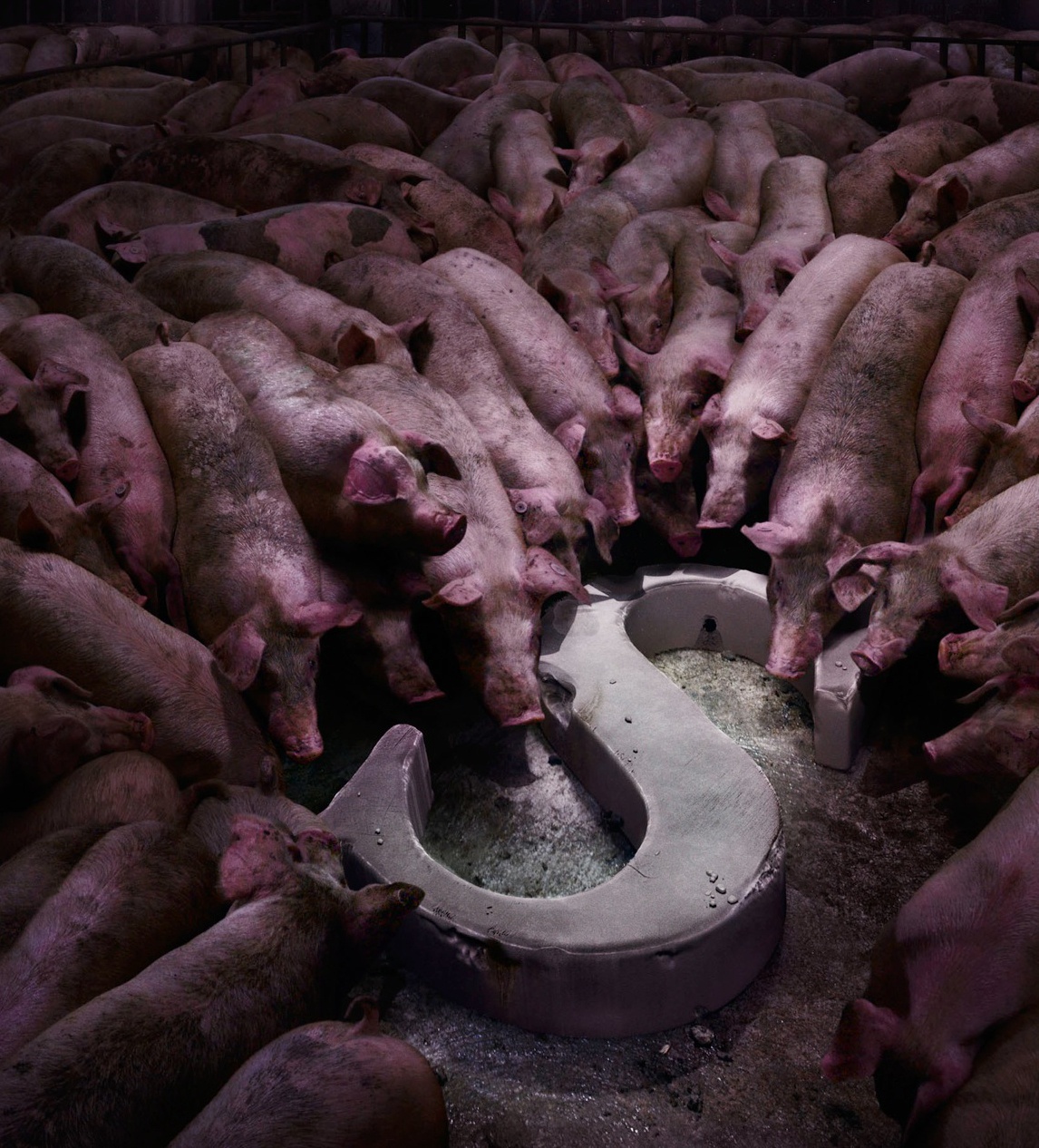 ¿Problemas con el inglés?