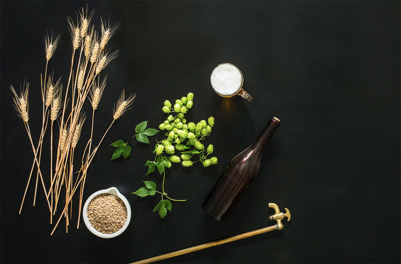 Crea tu propia canción a partir de tu propia receta cervecera