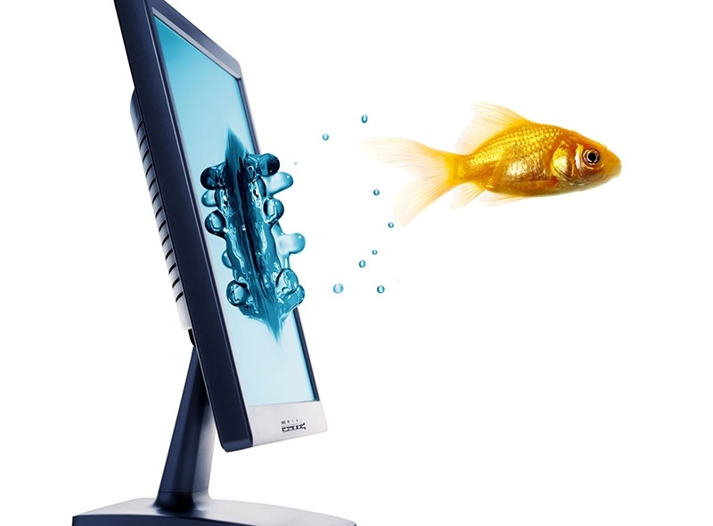 1 de cada 5 internautas utiliza un bloqueador de anuncios