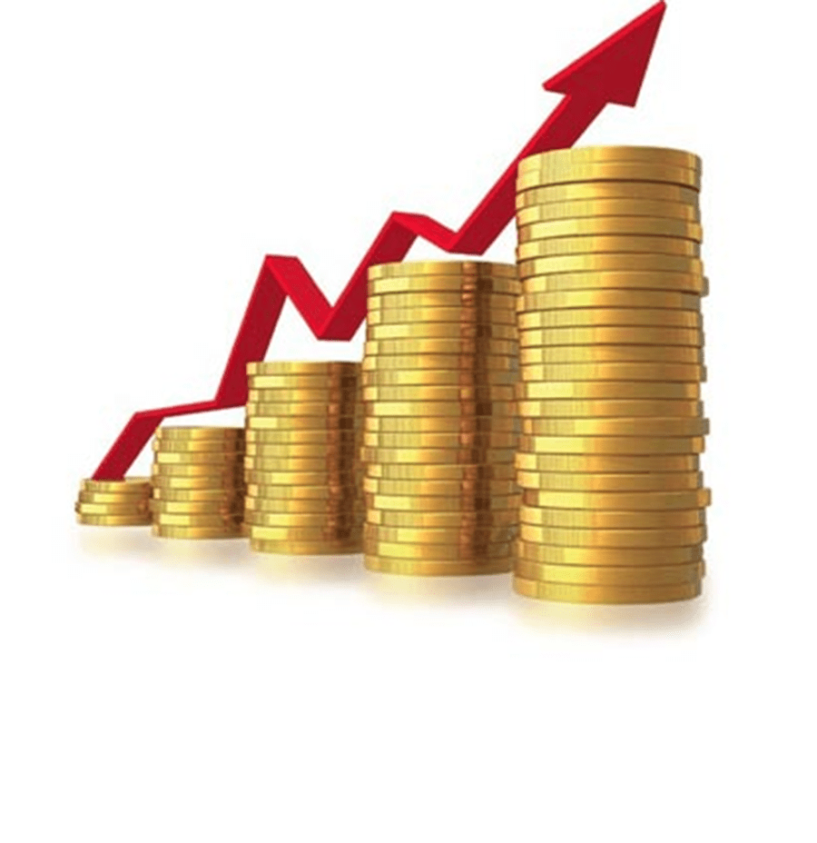 2015, el año de la recuperación