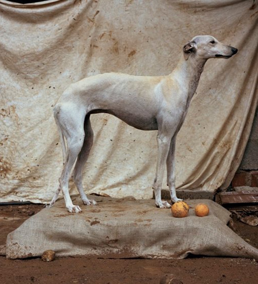 Kickstarter financiará proyectos españoles