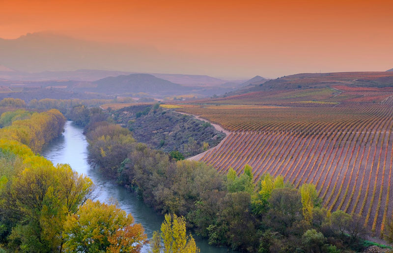 Notodofilmfesta presenta el Premio Set La Rioja