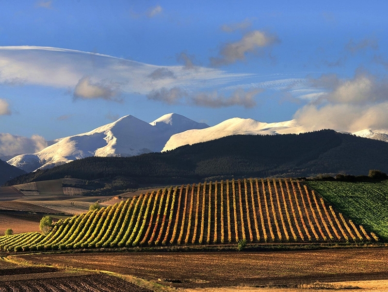 Turismo de La Rioja adjudica su cuenta a Media Diamond