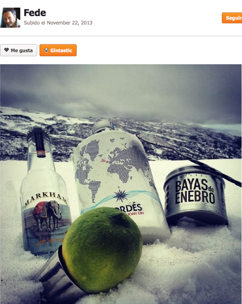 Ginterest, red social de Gin Tonics