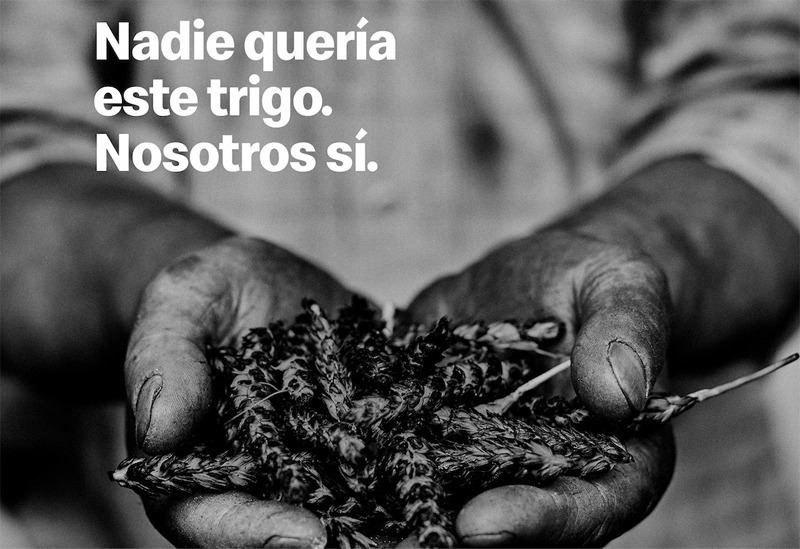 McDonald´s "compra" cosechas quemadas