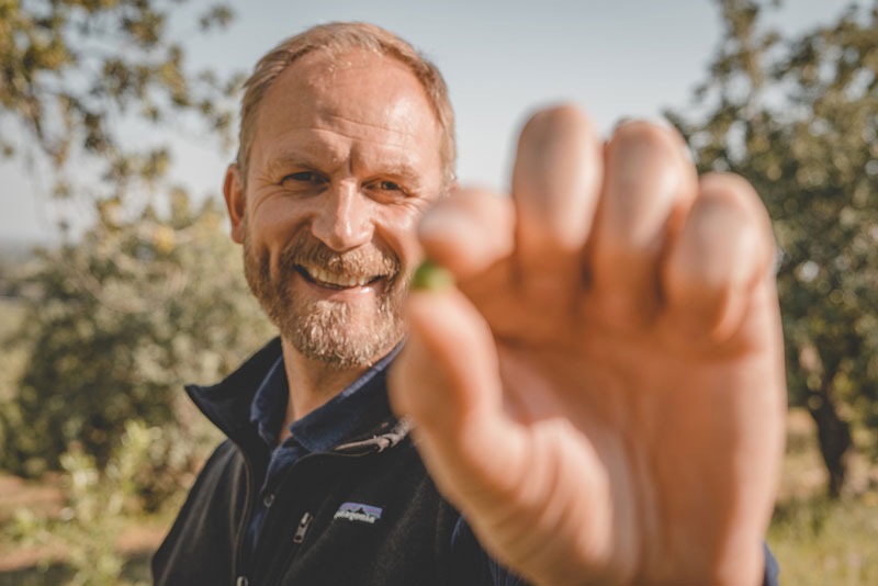 Meatless Farm sustituye la soja por el guisante