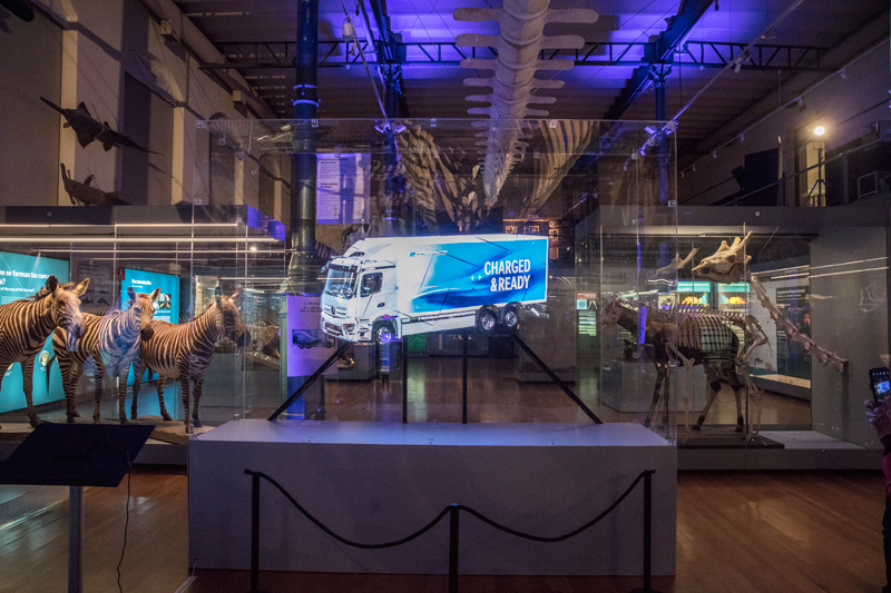 Una nueva especie llega al Museo de Ciencias Naturales