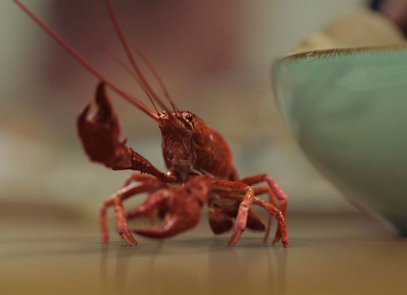 Movistar Disney llega a casa por Navidad