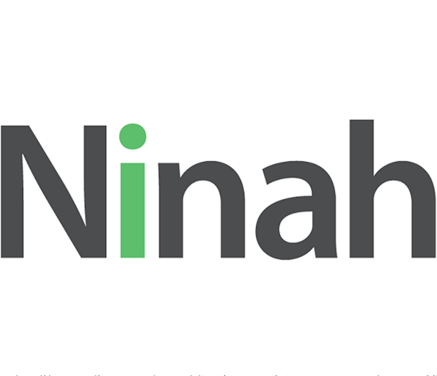 Llega Ninah, consultora de analítica