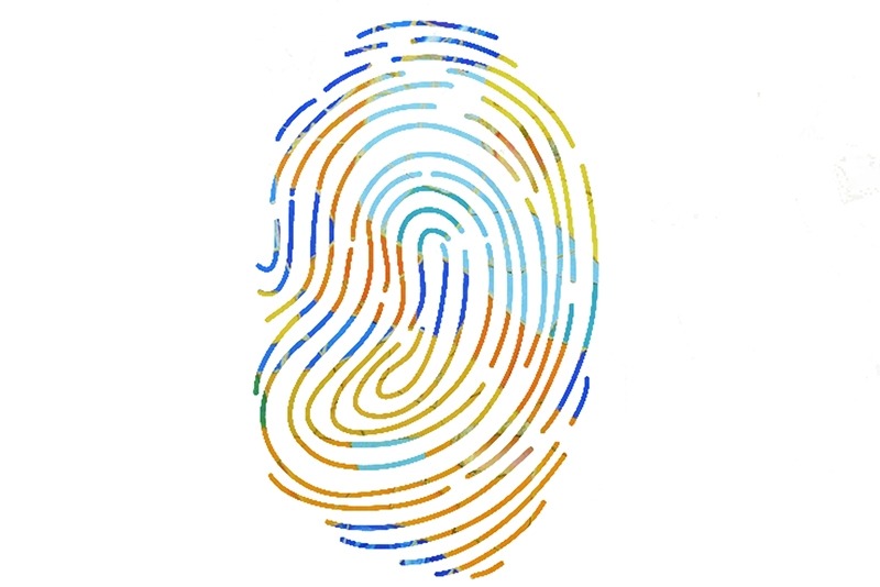 El XXI Drac Novell International presenta su cartel