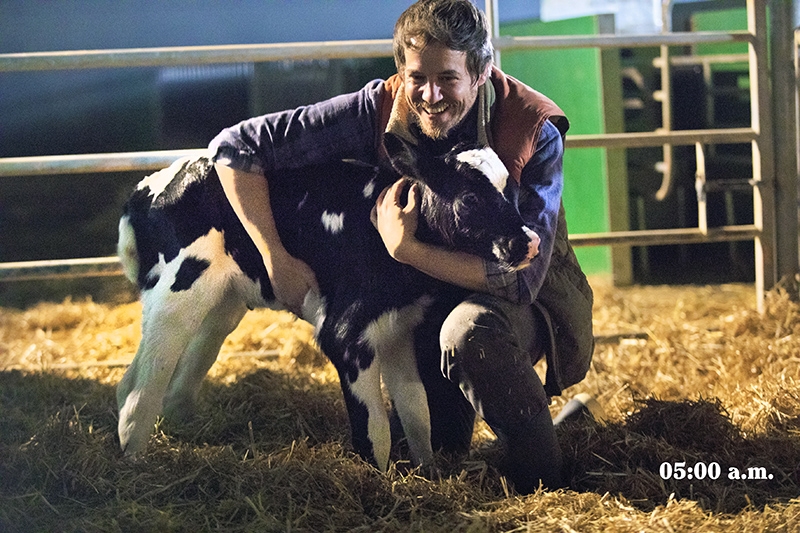 Nueva plataforma de Pascual para poner en valor su leche