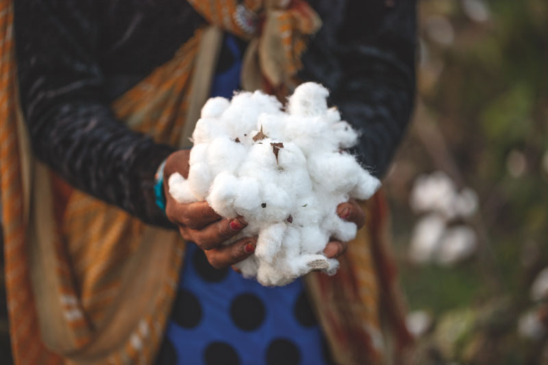 Patagonia conciencia sobre la agricultura orgánica regenerativa