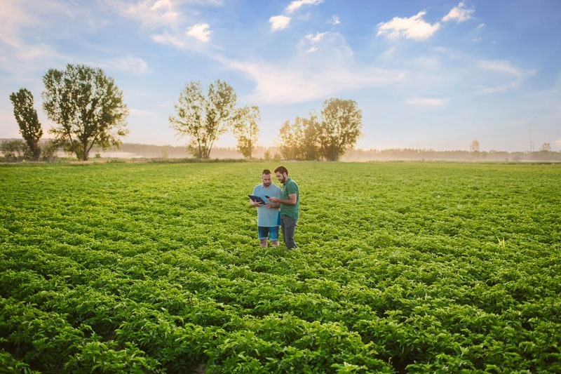 PepsiCo apuesta por la agricultura regenerativa en España