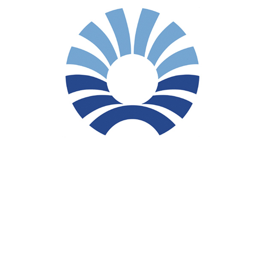 Pernord Ricard elige a Mediacom