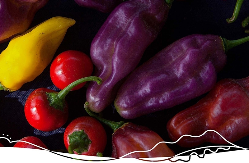 La gastronomía peruana aterriza en Estados Unidos