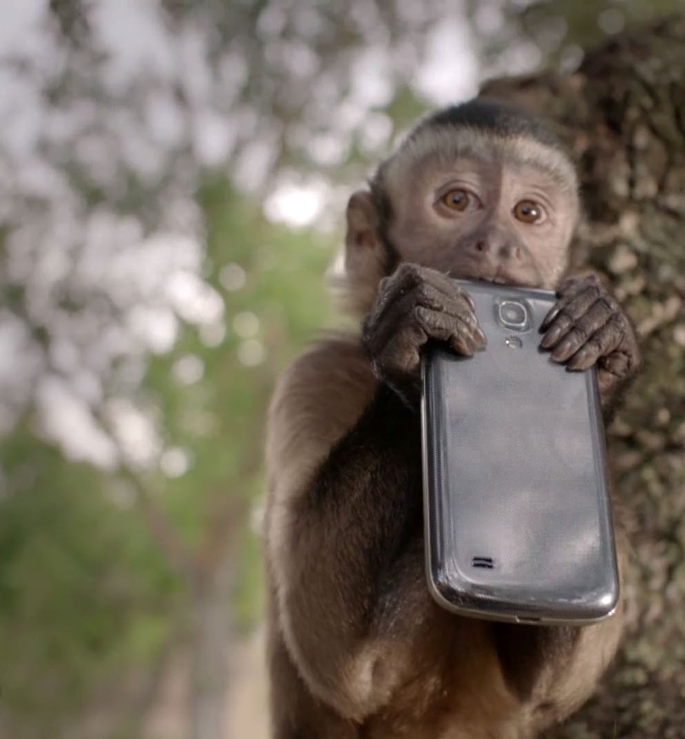 Phone Sharing, nuevo servicio de Tuenti