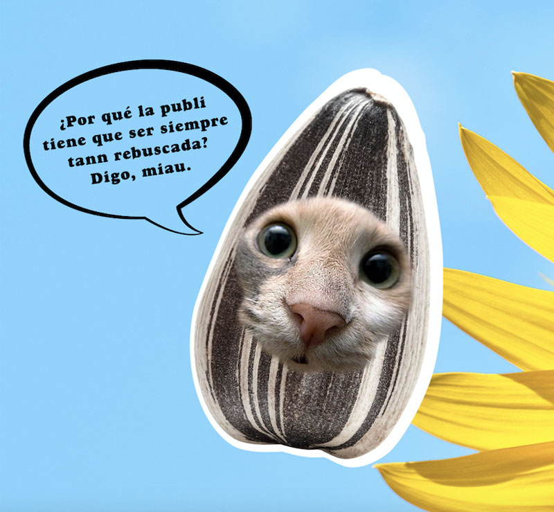 Pipas USA se rebela contra la publicidad con su Gato-Pipa