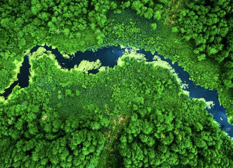 L´Oréal Paris reducirá su huella de carbono en un 50%