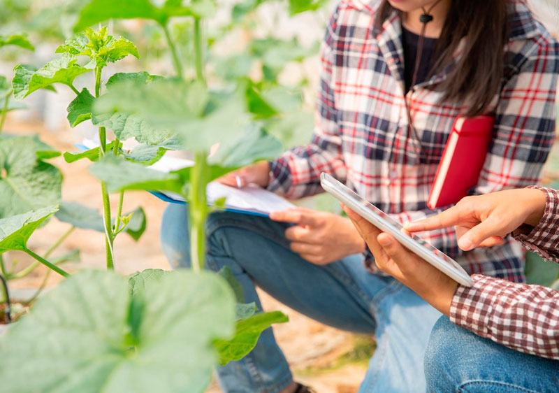 MediaSapiens gana la cuenta de medios de Red Rural