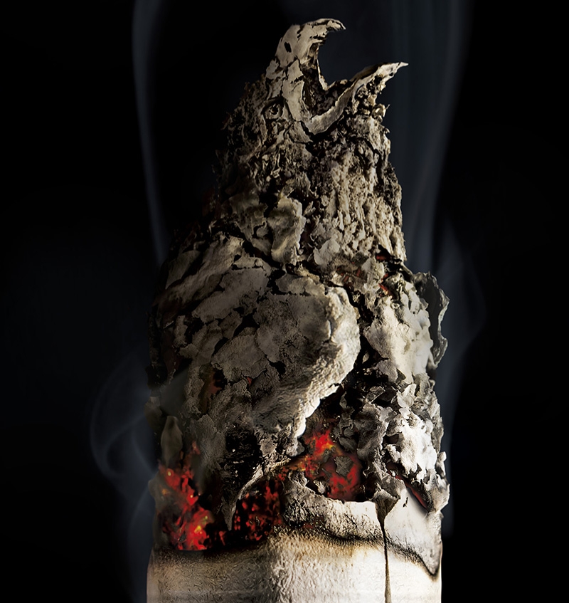 TBWA y Reforesta avisan: "Fumar mata"