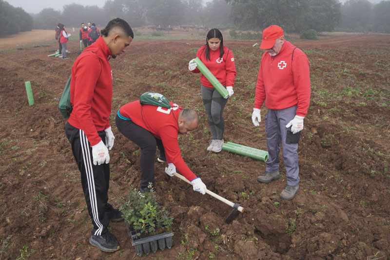 Burger King y Cruz Roja reforestan espacios naturales en Ciudad Real
