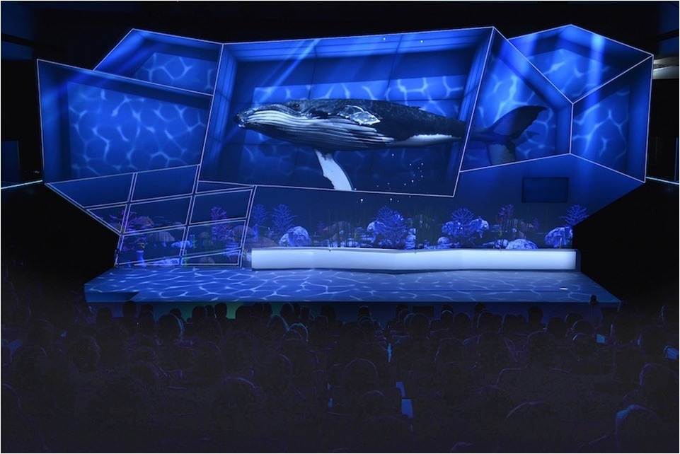 España pisa fuerte en el FIP