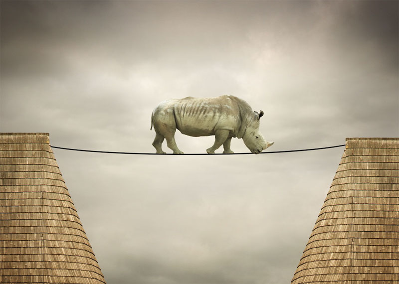 Resiliencia, adaptación y flexibilidad