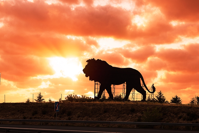 El Rey León "compite" con el Toro de Osborne en la carretera