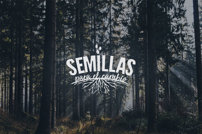 MAPFRE convierte semillas digitales en semillas reales