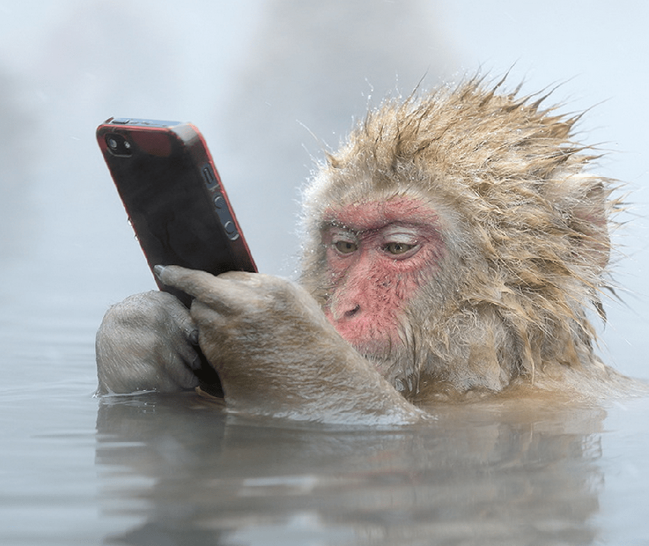 Guía para desarrollar campañas de llamadas salientes