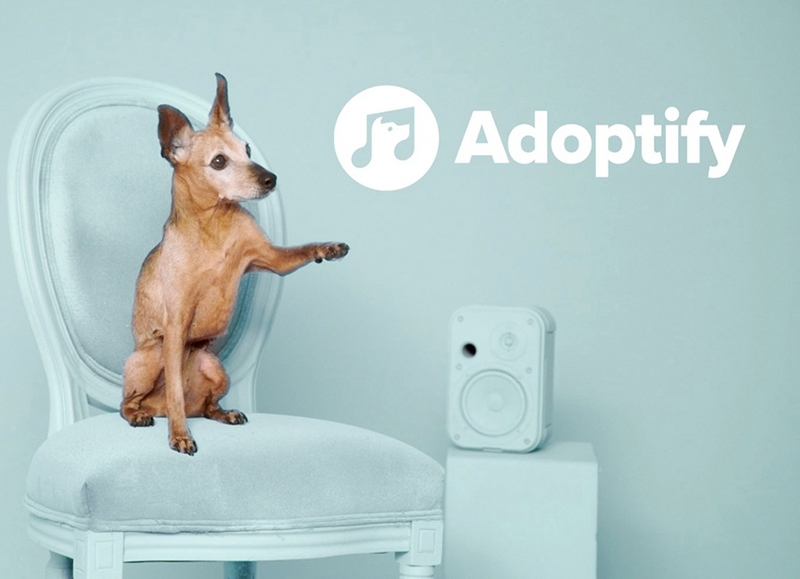 "Adoptify" empareja a dueños y perros con el mismo gusto musical