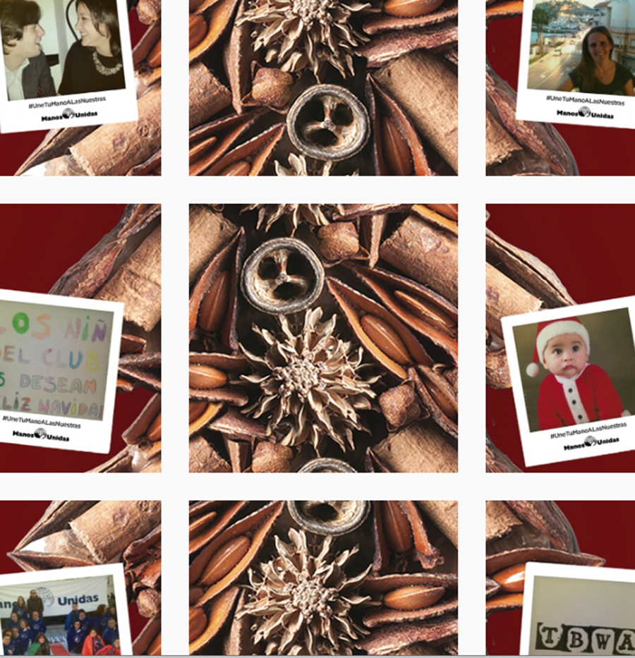 El árbol solidario de Manos Unidas en Instagram