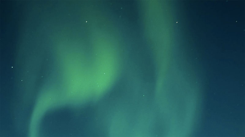 7 Tendencias de la relación entre el consumidor y las marcas