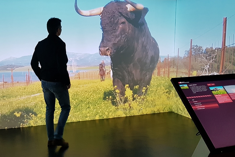 Sala inmersiva para ponerse en la piel del toro de lidia
