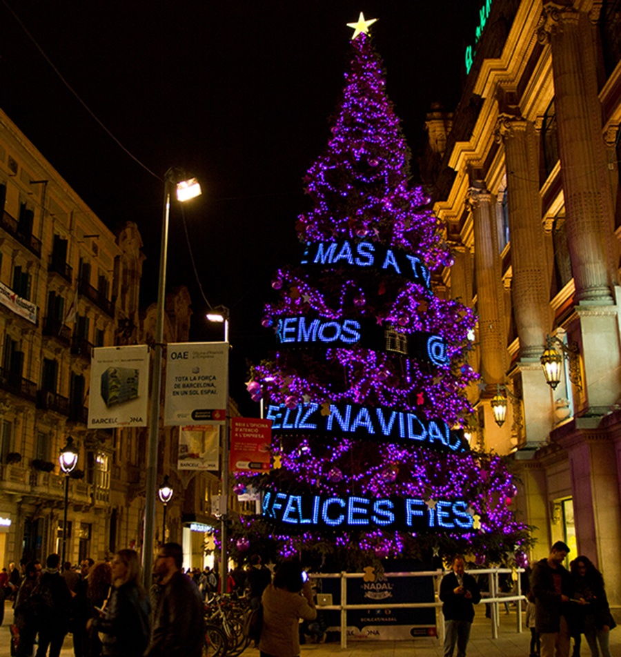 Árbol interactivo de TOUS