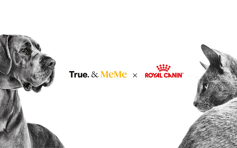 Royal Canin confía su comunicación a True y MeMe