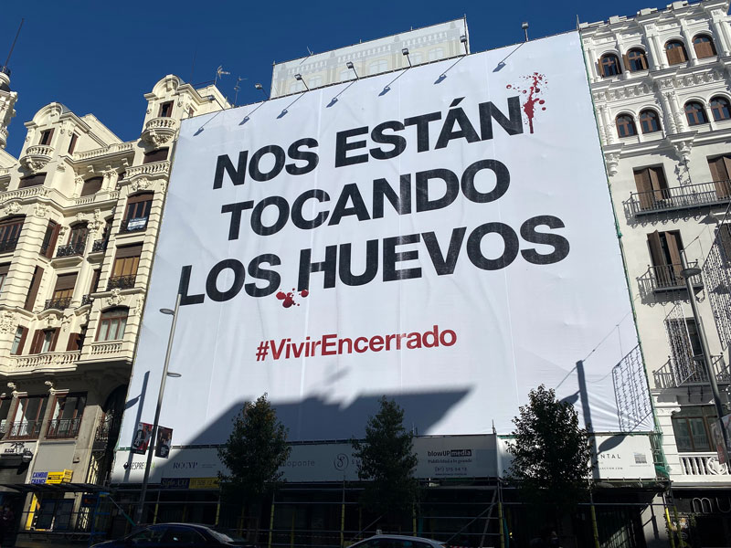 "Nos están tocando los huevos", contra el maltrato a las gallinas