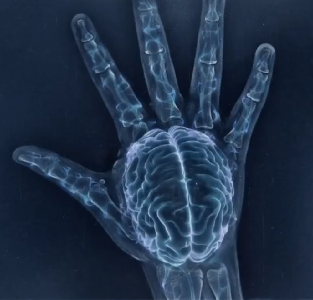 Apuesta con "el cerebro en la mano"