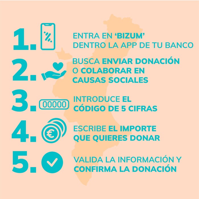 Cómo hacer donaciones a ONGs en Bizum.