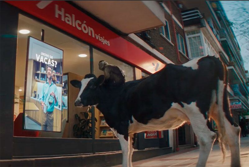 "Mono de vacas", la nueva campaña de DDB para Halcón Viajes