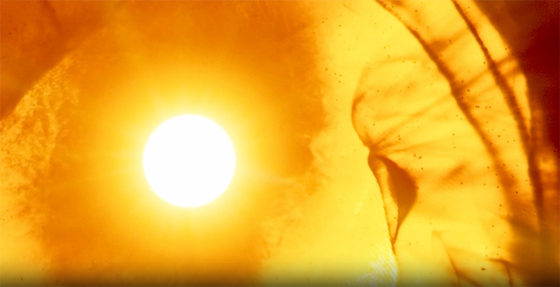 Todos los detalles del programa de El Sol 2025