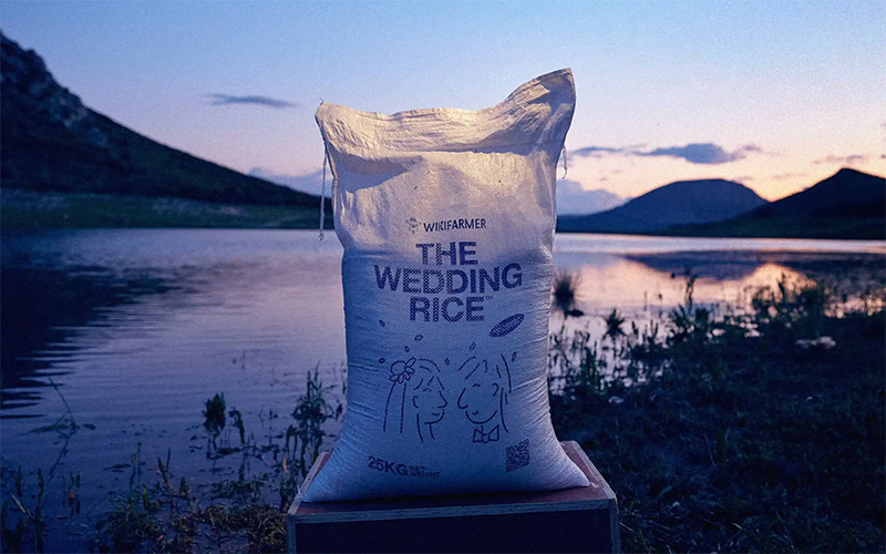 Wikifarmer da valor de venta al arroz no comestible