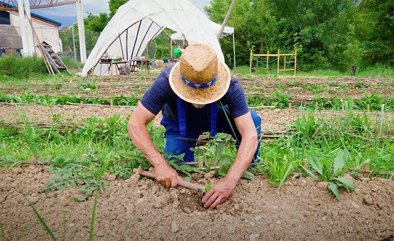 Nueva campaña de promoción de Alimentos de Aragón