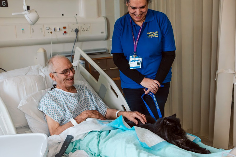 Purina lanza la cuarta edición del Premio BetterwithPets