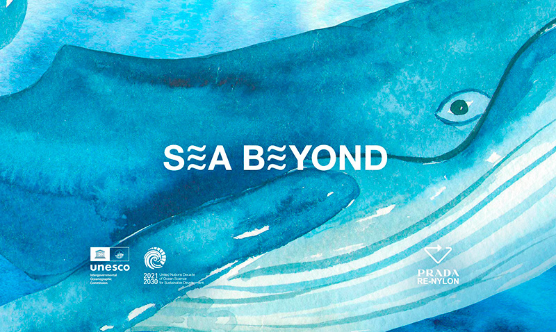 Prada y su programa educativo Sea Beyond