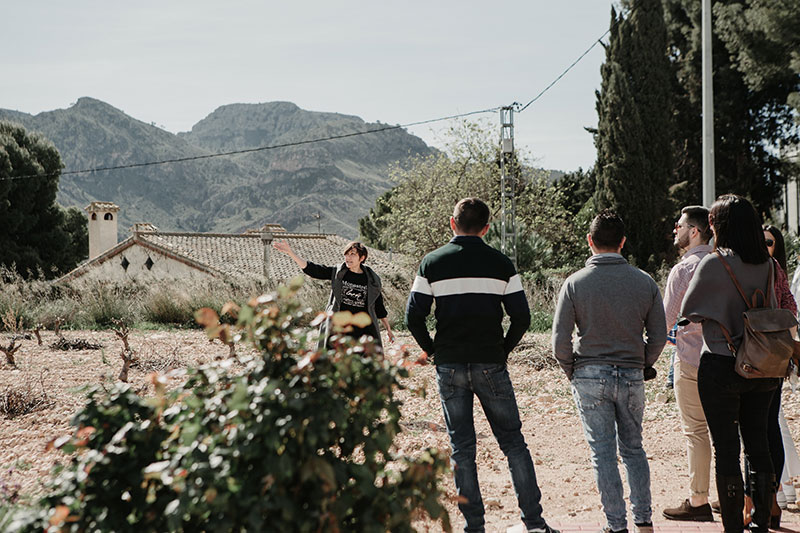 Bodegas Luzón celebra la XIV edición de "Vendimia Abierta"