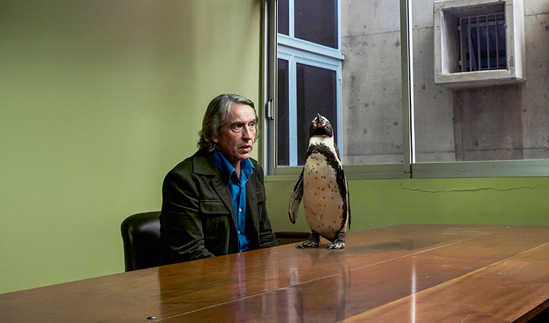 CLV colabora en el lanzamiento de "Lo que aprendí de mi pingüino"