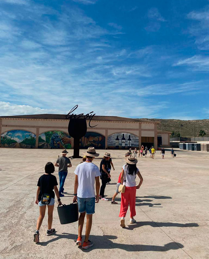 Bodegas Luzón celebra la XIV edición de "Vendimia Abierta".