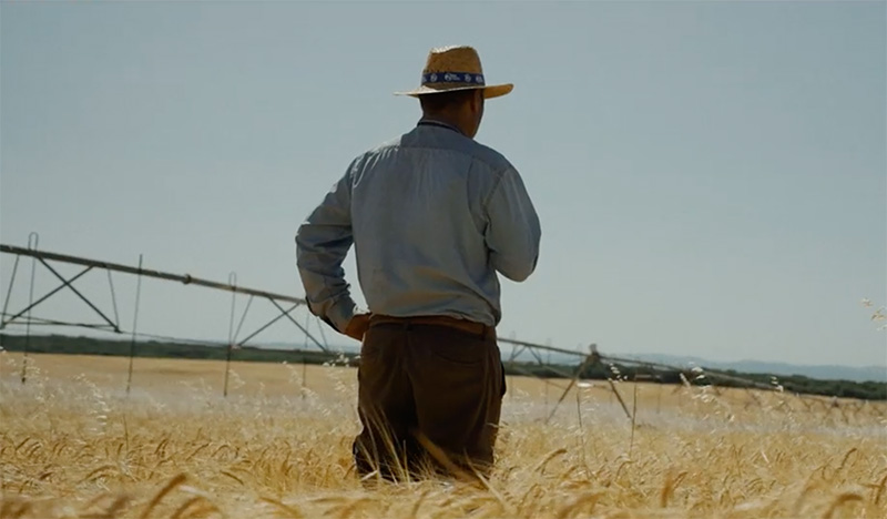 Candy Store firma la nueva campaña de imagen de Agroseguro